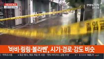 전국 태풍 '바비' 영향권…제주·전남 태풍특보