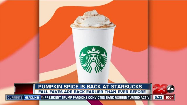 Dunkin announces donut-infused beer and PSL is back at Starbucks