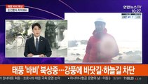 태풍 '바비' 북상중…강풍에 바닷길·하늘길 차단