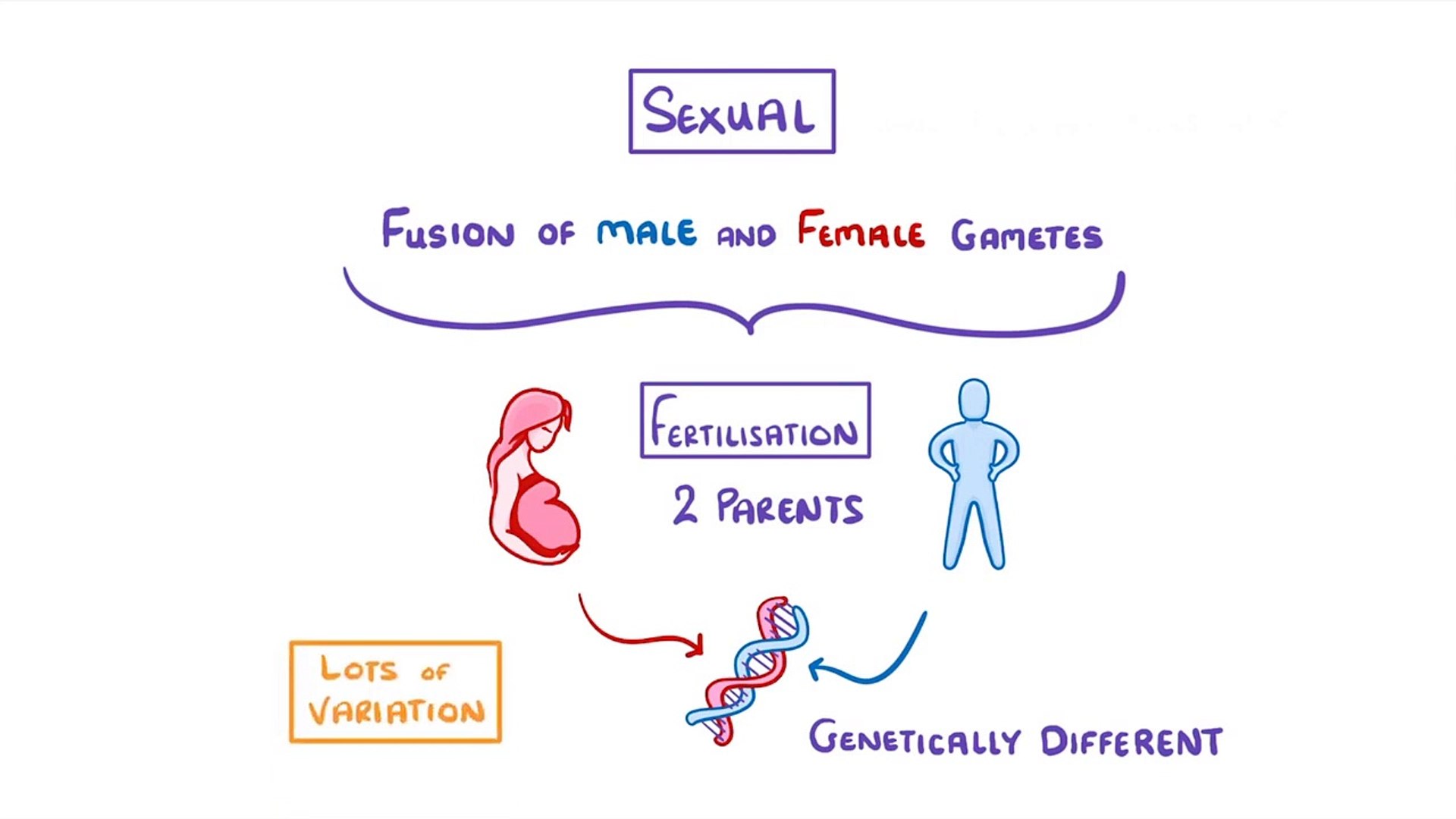 Biology - Sexual vs Asexual Reproduction