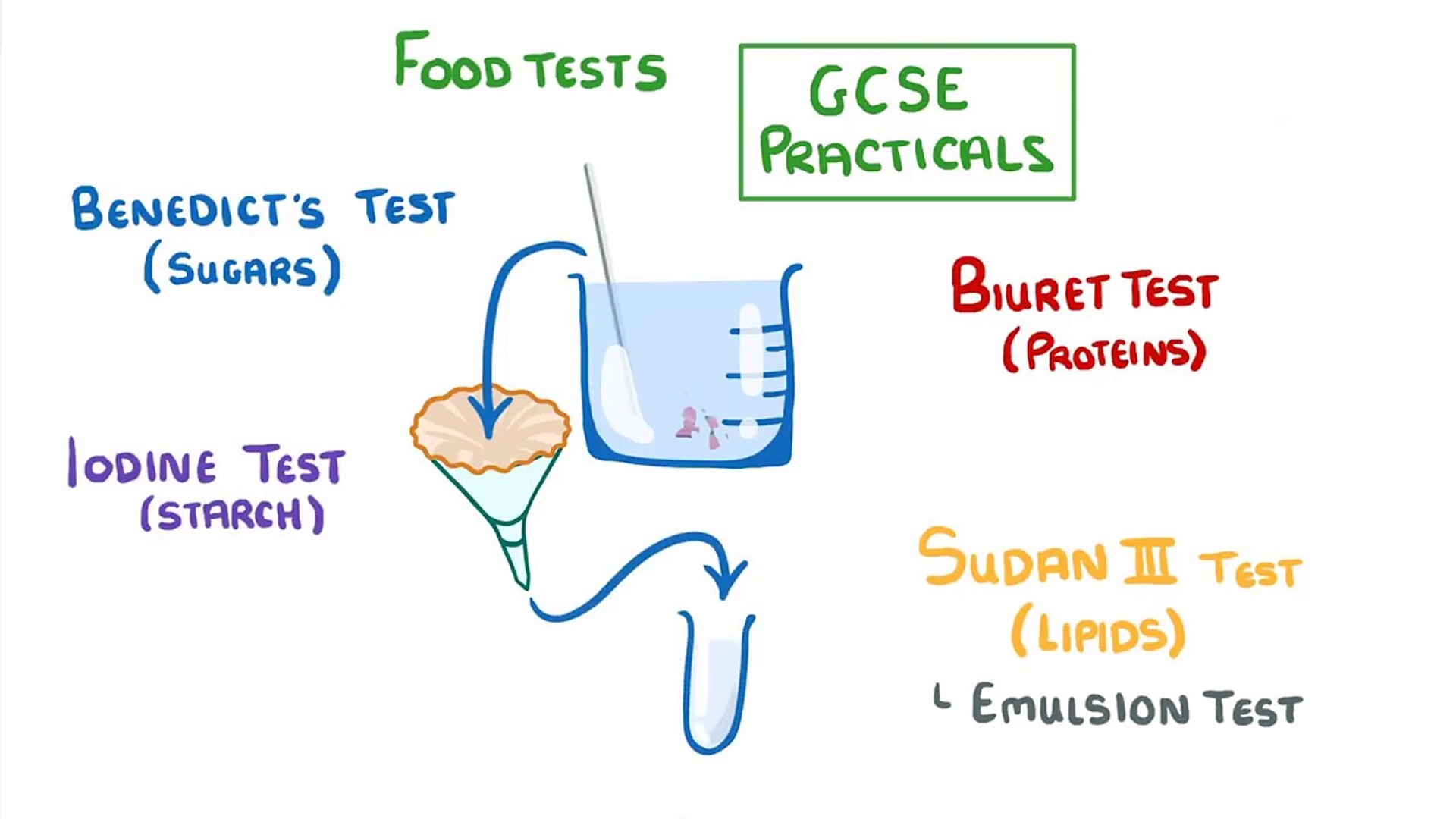 ⁣Biology - Food Tests Practicals