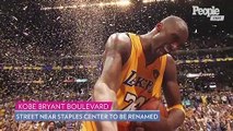 Los Angeles Sports Teams Celebrate Kobe Bryant on 8-24- 'Mamba Forever'