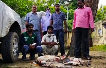 इटावा: राष्ट्रीय चंबल सेंचुरी में दो लोगों को मछली पकड़ते हुए किया गिरफ्तार