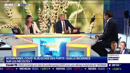 Arthur Portier (Agritel) : Comment se porte le marché des récoltes agricoles cette année ? - 26/08