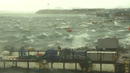 [더뉴스-더인터뷰] "사람·바위 날린다"...전국이 태풍 '바비' 영향권 / YTN