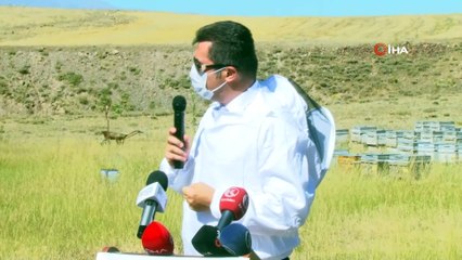 Doğu'da bal hasadı başladı