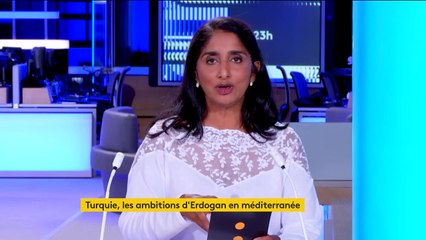 Turquie : "Erdogan est dans une dérive totalitaire et nationaliste", selon Ahmet Insel