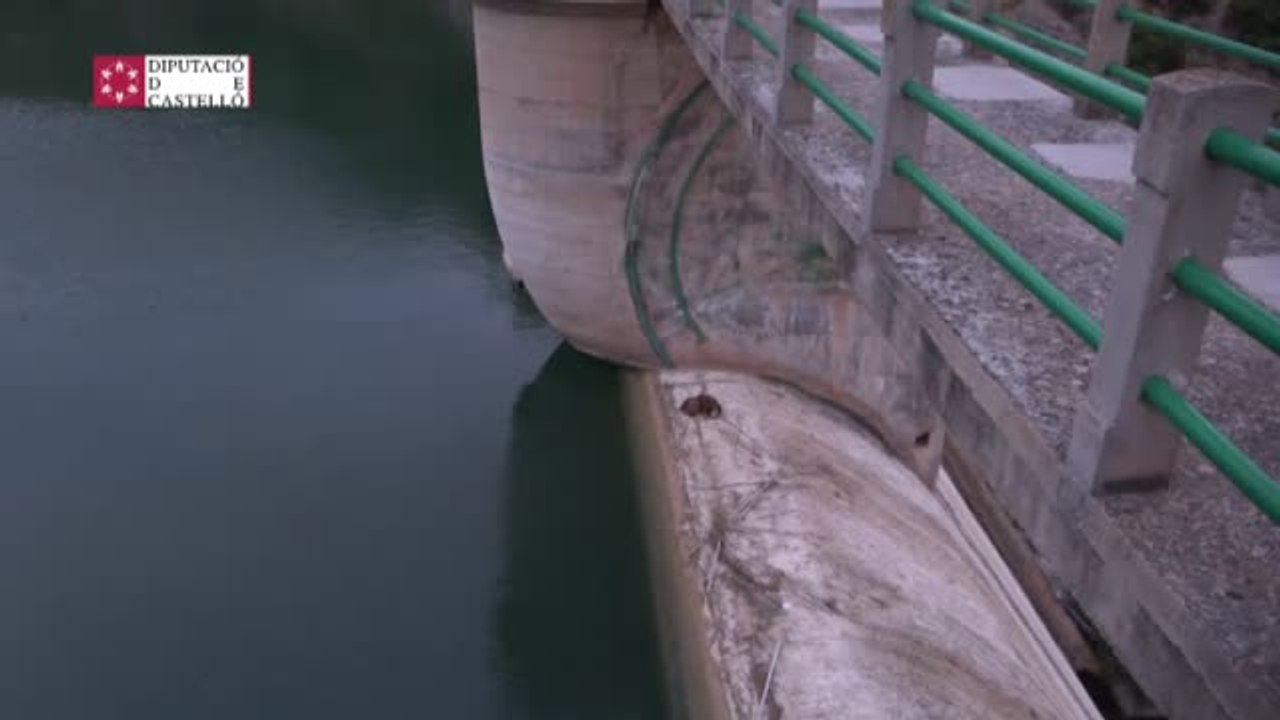 Los bomberos rescatan con vida un perro atrapado en el embalse de l'Alcora en Castellón