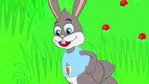 Tavşan ve Kaplumbağa ile 30 dk Sevimli Dostlar Bebek Şarkıları