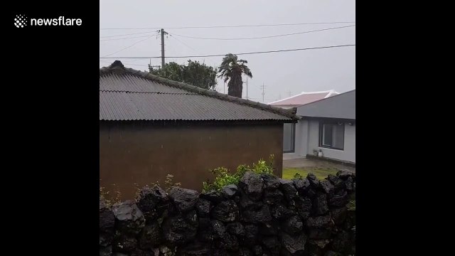Further footage shows rough seas as Typhoon Bavi approaches South Korea