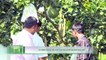 Chủ vườn bị kẻ gian chặt 700 cây ăn quả do tư thù | VTC16