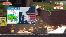 [날씨] 태풍 '바비' 목포 인근 해상으로 북상 중…역대급 강풍