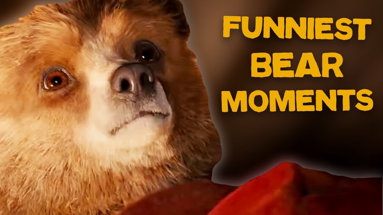Paddington | Our Bear's Funniest Moments | Friendly Faces