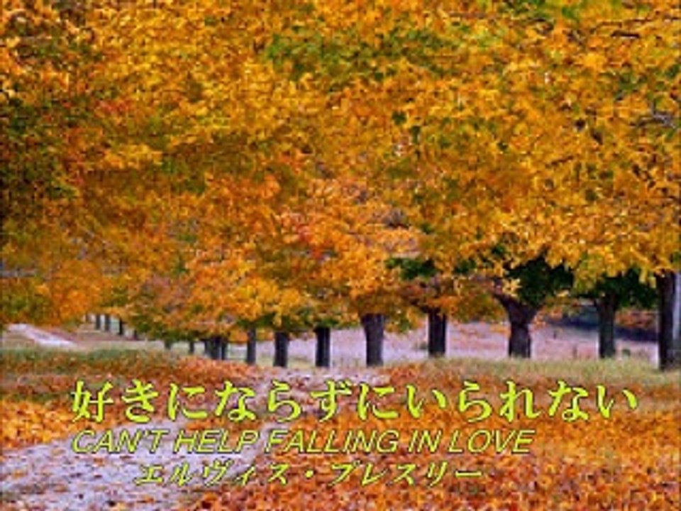 好きにならずにいられない Can't Help Falling In Love (エルヴィス・プレスリー) / 訳詞初稿・Sima