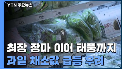 최장 장마 이어 태풍까지...과일 채소값 급등 우려 / YTN