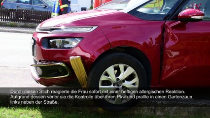 Ettringen | Wespe im Auto führt zu Unfall
