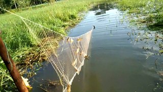 fishing in floating area 2020 bangladesh