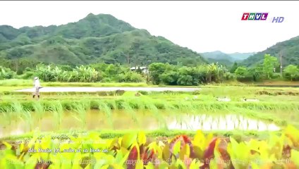 đại thời đại tập 488 - phim thvl1 long tieng dai thoi dai tap 489