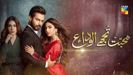 Mohabbat Tujhe Alvida Episode 11 HUM TV Drama 26 August 2020