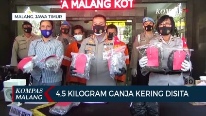 Polisi Bekuk Kurir 4,5 Kg Ganja