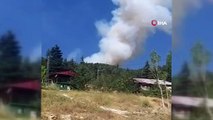 Kahramanmaraş’taki orman yangınında 2 hektarlık alan zarar gördü
