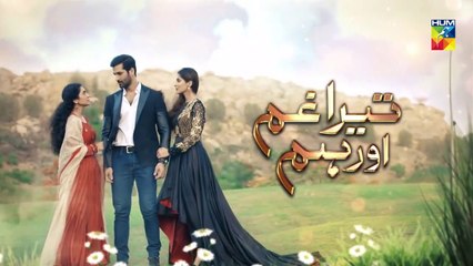 Tera Ghum Aur Hum Episode 17 HUM TV Drama 26 August 2020