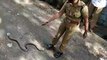 Kerala Forest Dept trains its officers on how to scientifically rescue snakes