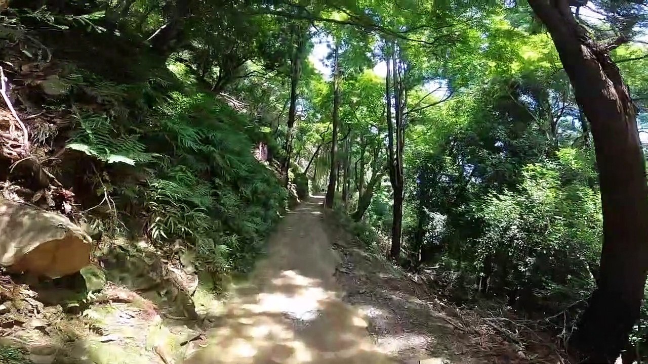 ＃２　Monkey park in Arashiyama,Kyoto