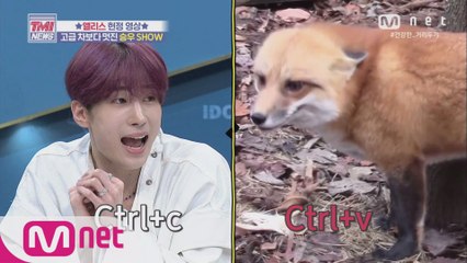 [56회] ♥앨리스 헌정 영상♥ 축구하는 사막 여우 한승우!