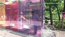 Transparent Toilets Installed In Tokyo Public Parks To Change Perception Of Public Bathrooms!
