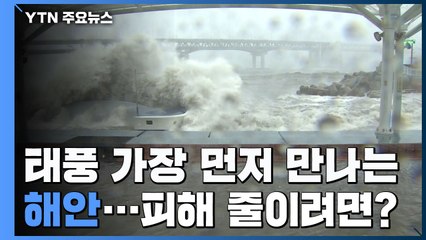 태풍 '바비' 북상...해안 지역에서 절대 하면 안되는 행동 / YTN