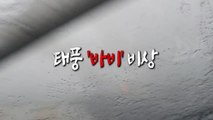 [영상] 태풍 '바비' 비상 / YTN
