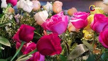 Colombia- país que exporta las más hermosas flores - Top 5