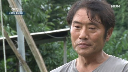 "돈 버는 건 자신 있었어요" 자연인의 화려하지만 그늘졌던 과거