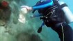 Israeli Paraplegic Diver Dons Wet Suit To Clean up Sea From Trash & Debris