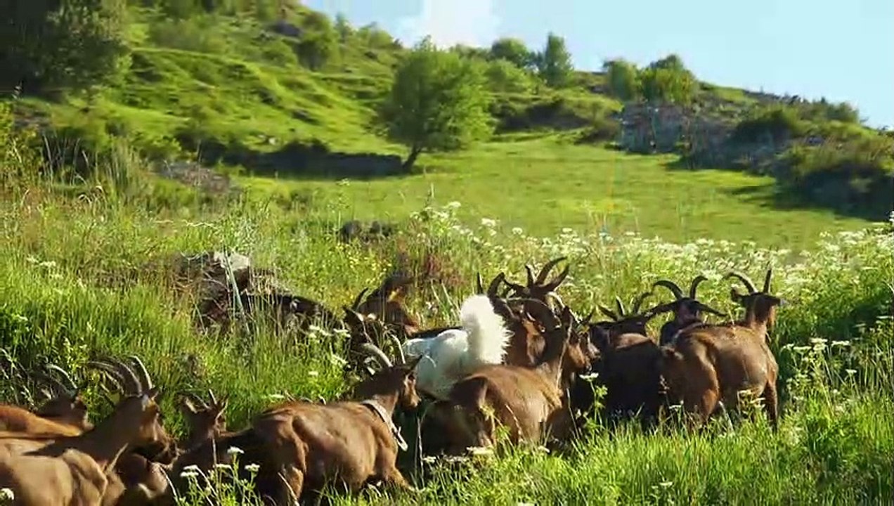 De la nature à l'assiette