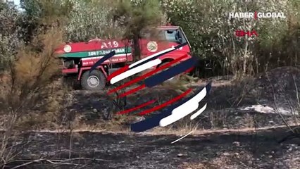 Fıstık çamı ağaçlandırma alanında yangın