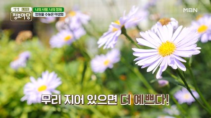 자연 속에 사는 것이 즐겁다!