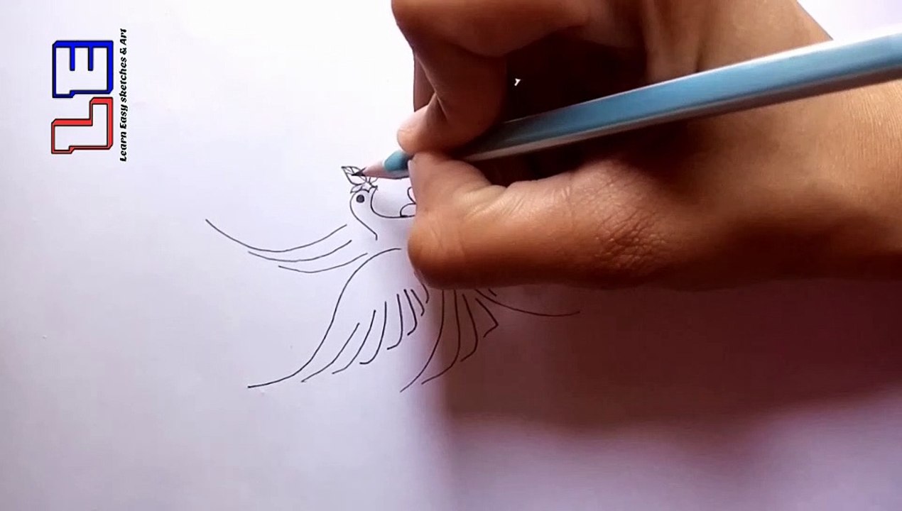 Drawing of bird