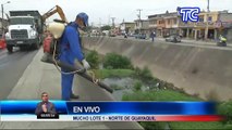 Empresas limpian canal lleno de basura ante la denuncia de moradores de Mucho Lote 1, norte de Guayaquil