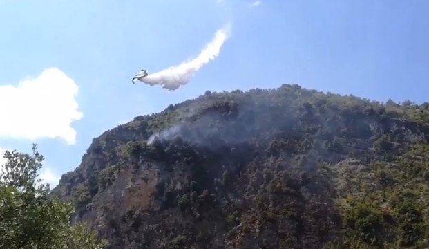 Trecchina (PZ) - Incendio boschivo, in azione Canadair (26.08.20)