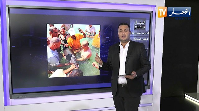ترندينغ النهار: الحماية تساعد دلفين.. ابرز ما تداولته مواقع التواصل الإجتماعي