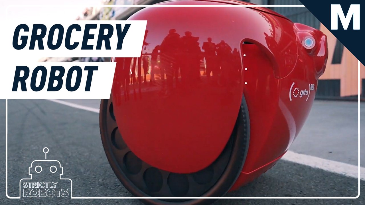 This robot carries your groceries wherever you go — Strictly Robots