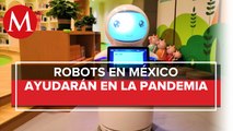 Los robots, aliados en la lucha contra el coronavirus