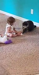 Baby learns what waving a stick in front of the cat does.