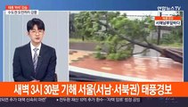 태풍 '바비' 북한 황해도 상륙…중부지방 태풍특보