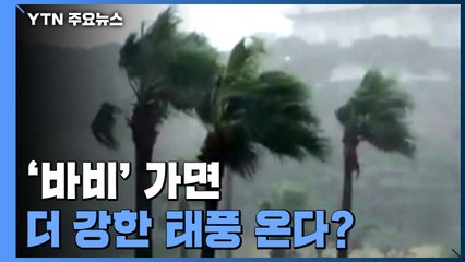 [날씨] 北 옹진반도 상륙한 태풍...오전까지는 강풍 조심 / YTN