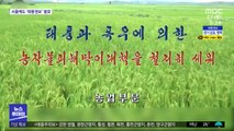 태풍 '바비' 황해도 상륙…북한 '초비상'