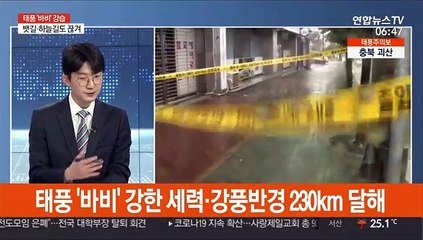 [뉴스초점] 태풍 '바비' 북한 황해도 상륙…수도권 낮까지 강풍