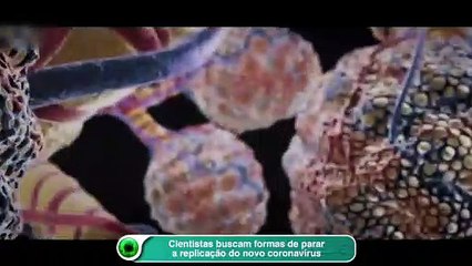Cientistas buscam formas de parar a replicação do novo coronavírus